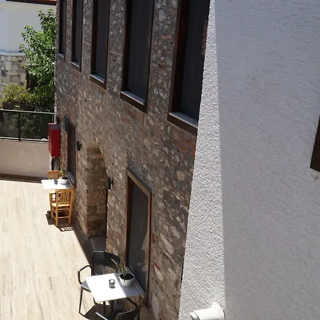 Pikan Ephesus-2